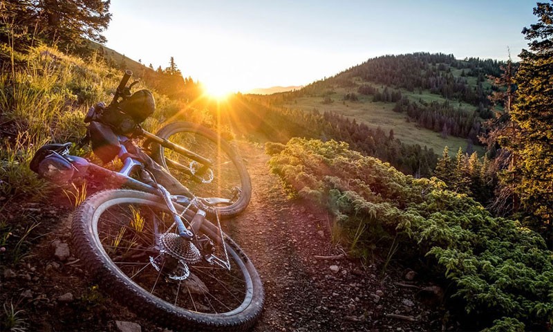 dolores-beatae-ab-et-quae-illo