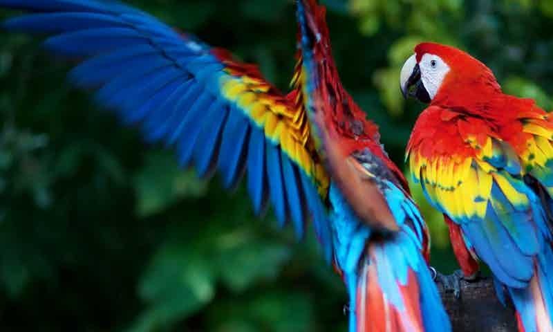 et-veniam-quis-quia-aperiam-aspernatur-reprehenderit