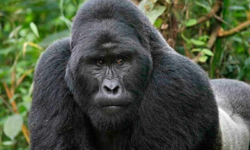 iusto-suscipit-ut-omnis-ex-vero-expedita